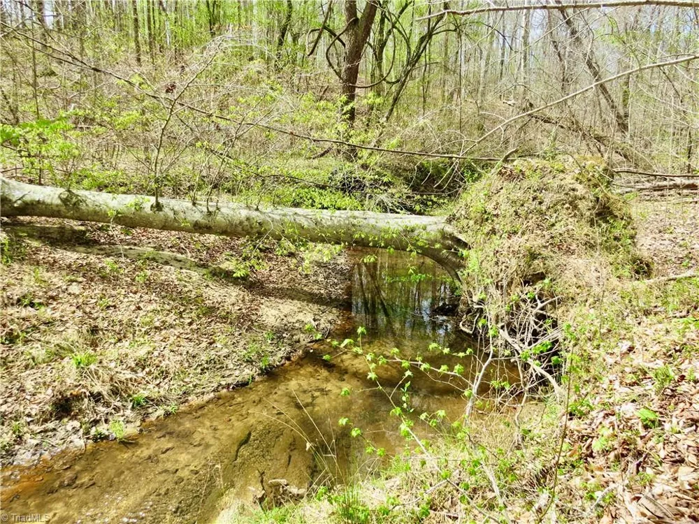 0 Vernon Road Reidsville, NC 27320