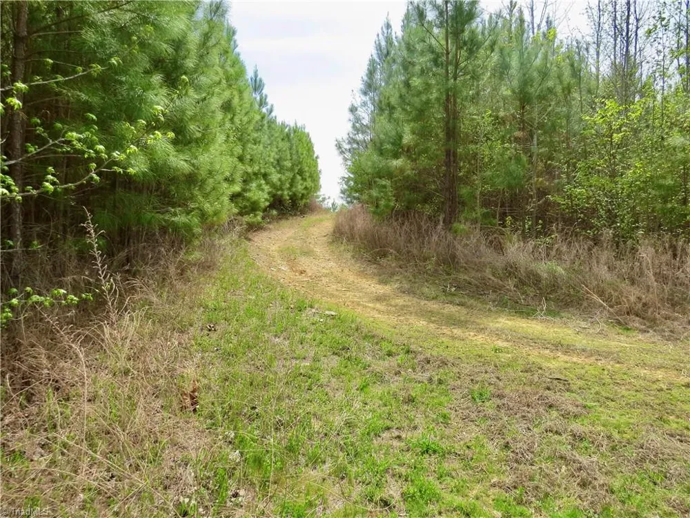 0 Vernon Road Reidsville, NC 27320