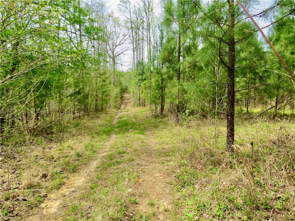 0 Vernon Road Reidsville, NC 27320