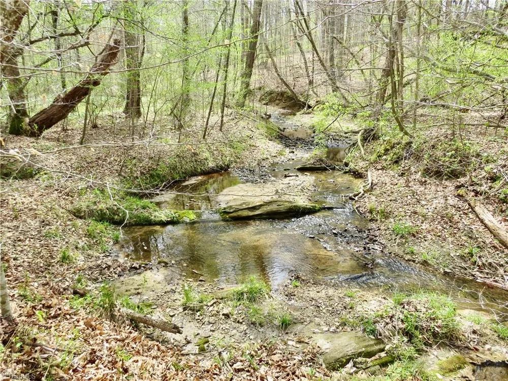 0 Vernon Road Reidsville, NC 27320