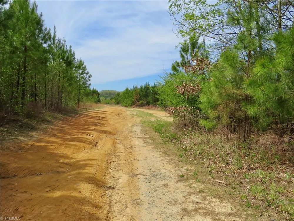 0 Vernon Road Reidsville, NC 27320