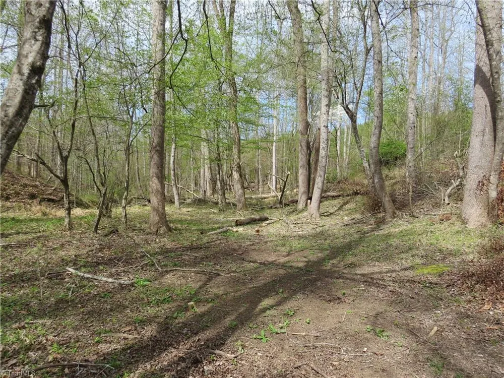 0 Vernon Road Reidsville, NC 27320