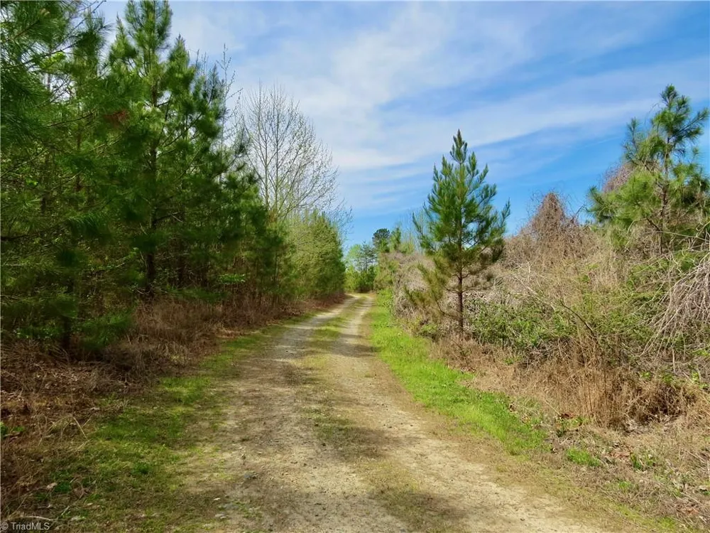 0 Vernon Road Reidsville, NC 27320