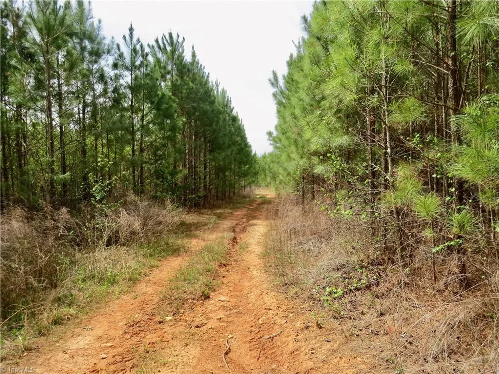 0 Vernon Road Reidsville, NC 27320
