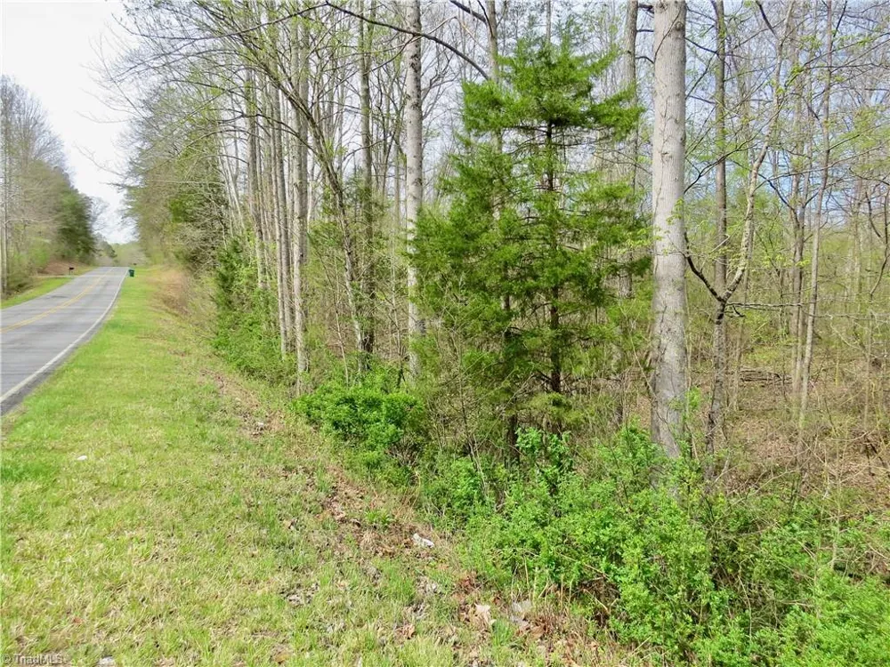 0 Vernon Road Reidsville, NC 27320