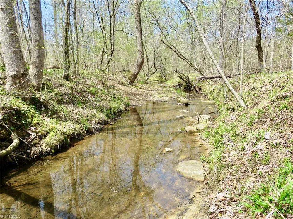 0 Vernon Road Reidsville, NC 27320