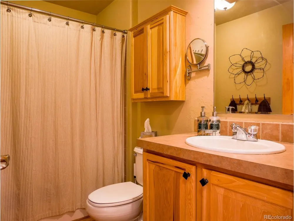 314 S Antelope Trail Cotopaxi, CO 81223
