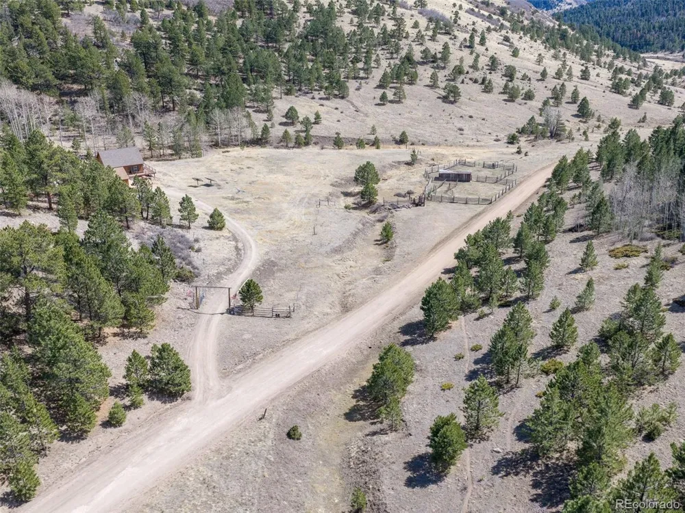314 S Antelope Trail Cotopaxi, CO 81223