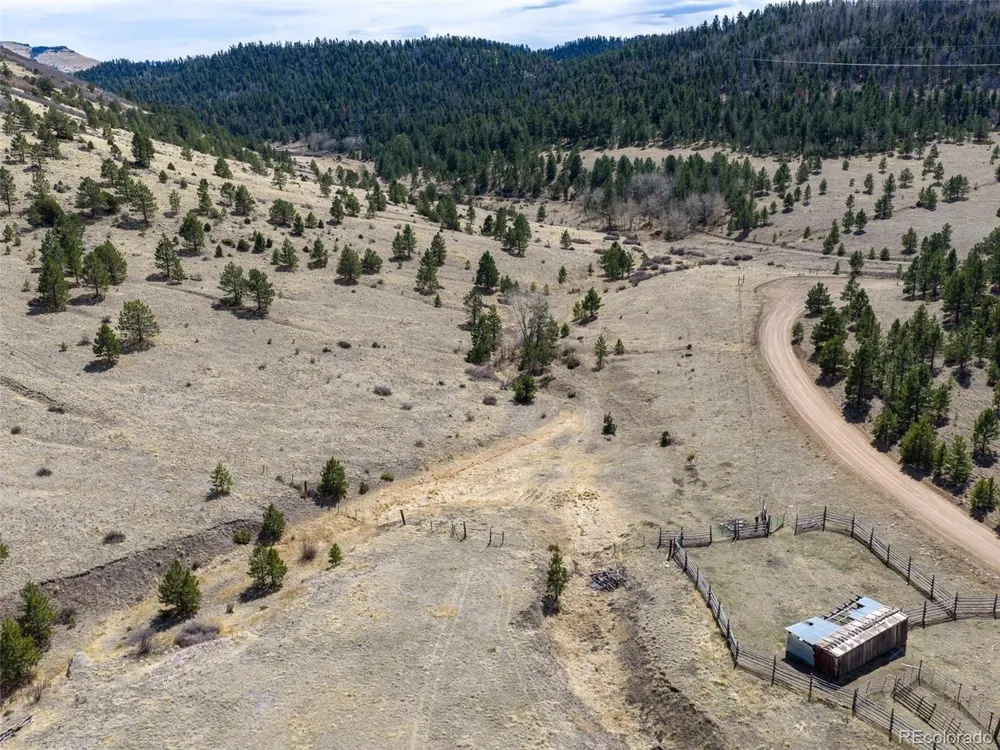 314 S Antelope Trail Cotopaxi, CO 81223