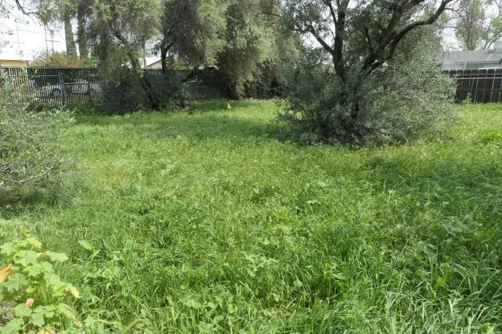 902 Mercey Springs Road Los Banos, CA 93635