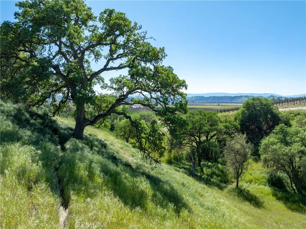 7310 Estrella Road San Miguel, CA 93451