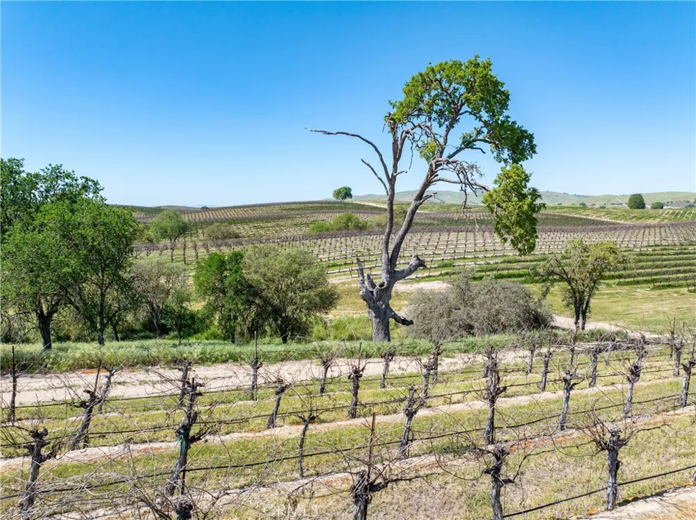 7310 Estrella Road San Miguel, CA 93451