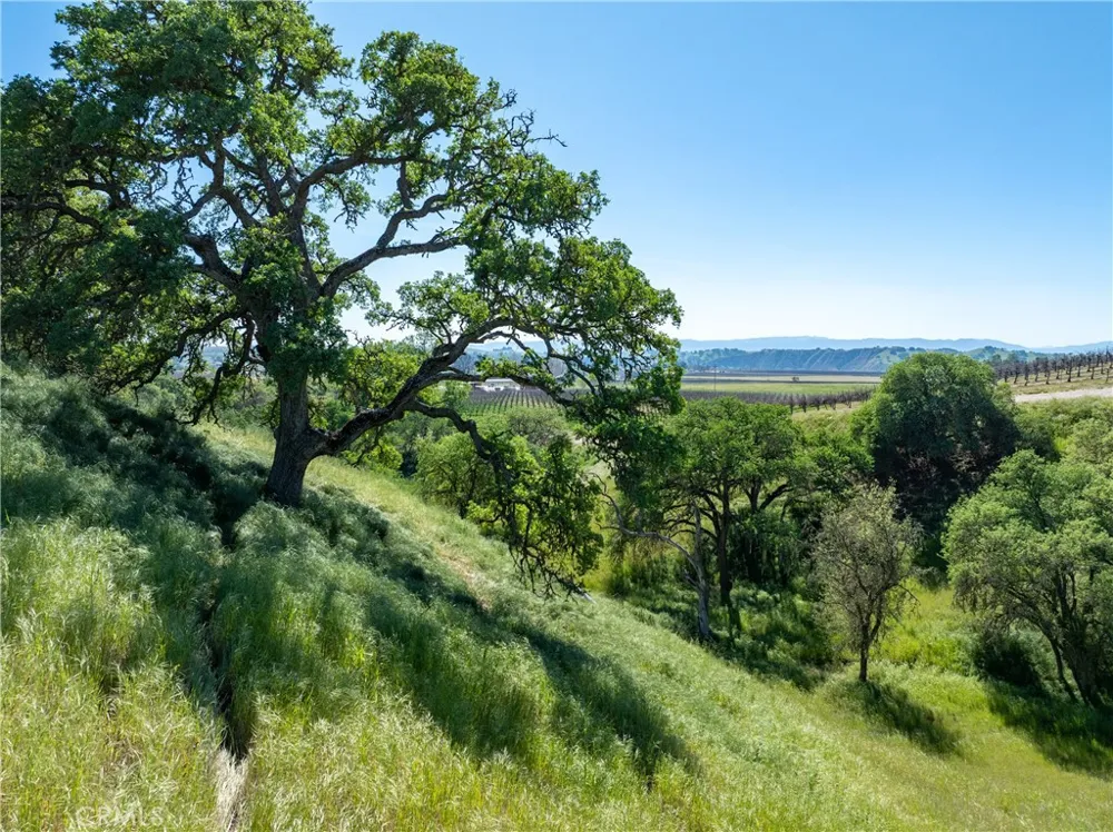 7310 Estrella Road San Miguel, CA 93451