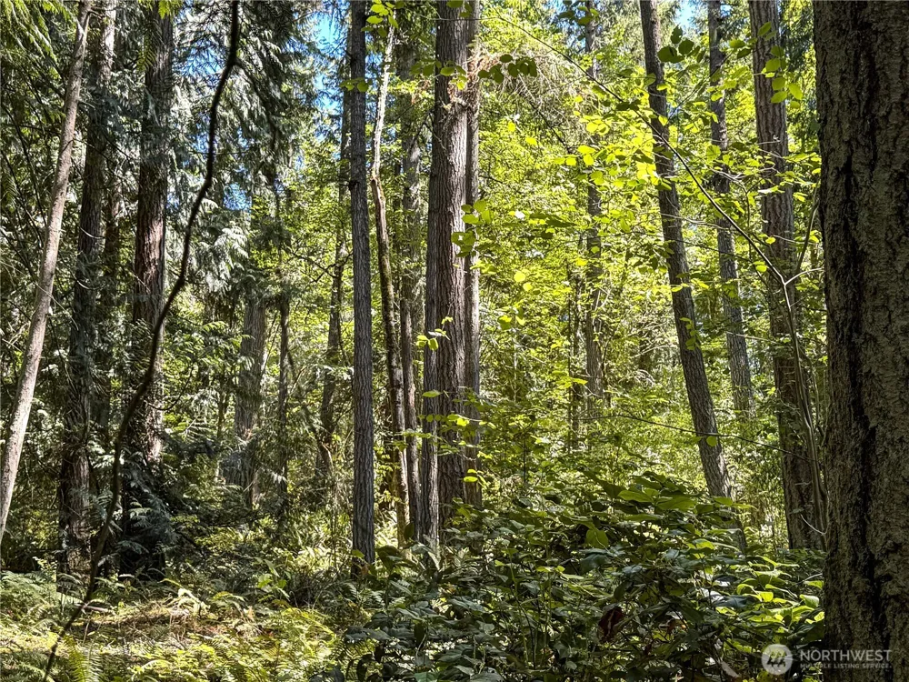 10 th Ave to Forest Rock Lane NE Poulsbo, WA 98370