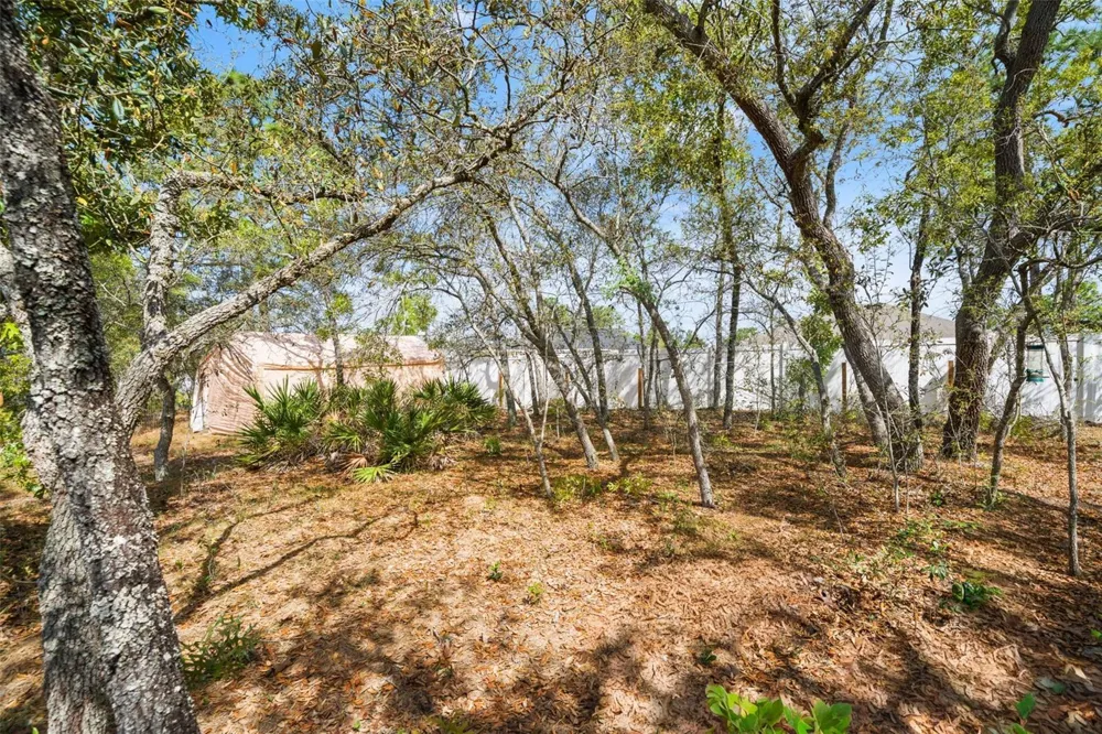 12015 PHOENIX AVENUE Weeki Wachee, FL 34614