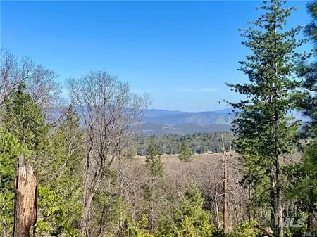 10130 Seigler Springs North