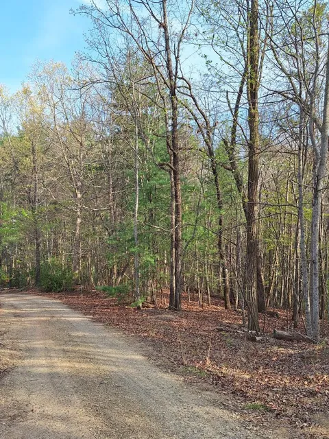 LOT 22 Mull Lane Cir, Lt 22