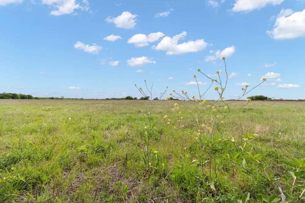 6265 County Road 305 Grandview, TX 76050