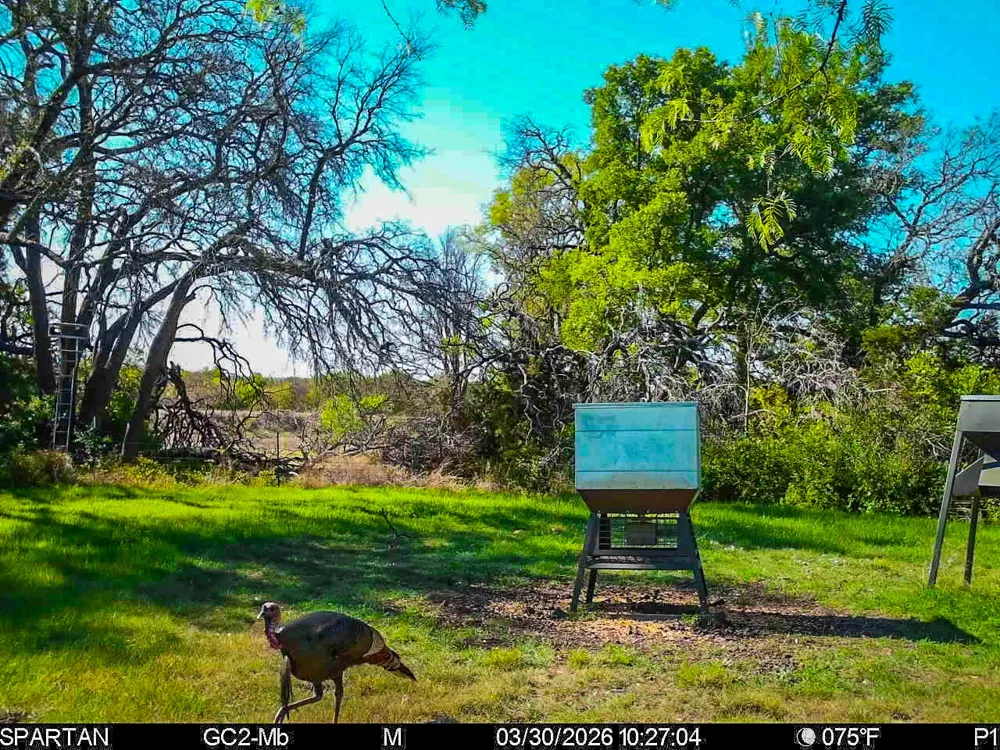 3601 County Road 188 Jonesboro, TX 76538