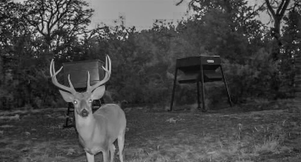 3601 County Road 188 Jonesboro, TX 76538