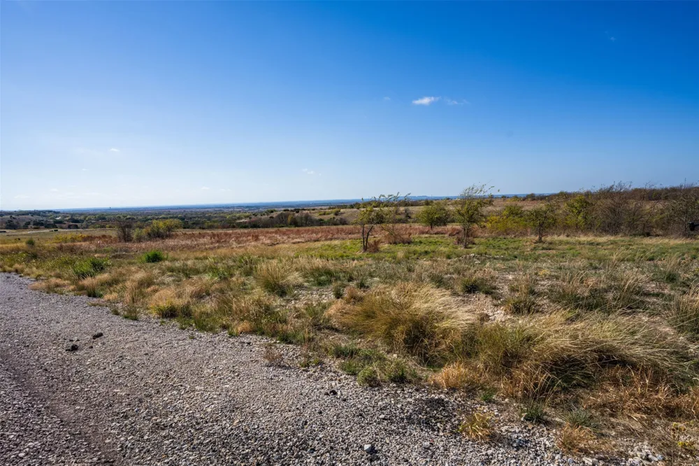 2516 Tom Chaney Drive Cresson, TX 76035