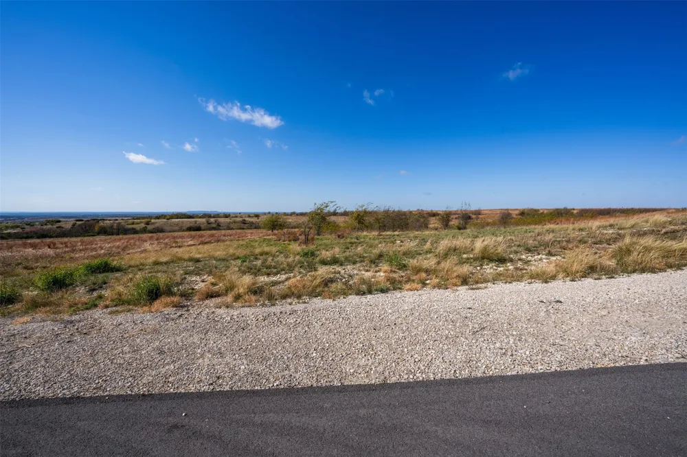2516 Tom Chaney Drive Cresson, TX 76035