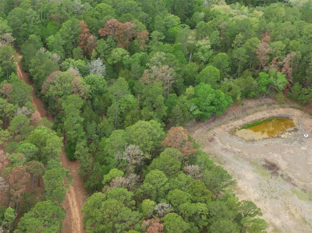 Red Fox Road La Grange, TX 78945