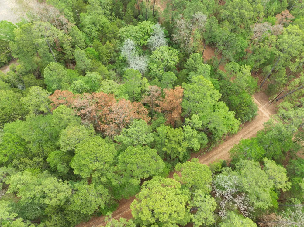 Red Fox Road La Grange, TX 78945