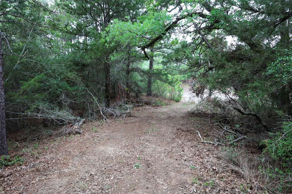 Red Fox Road La Grange, TX 78945