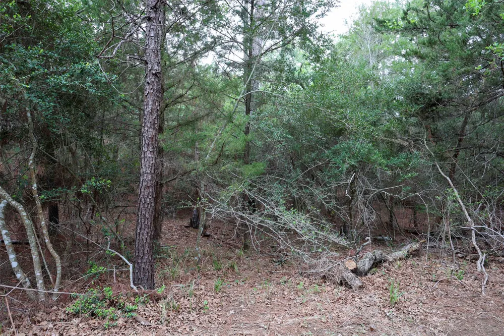 Red Fox Road La Grange, TX 78945