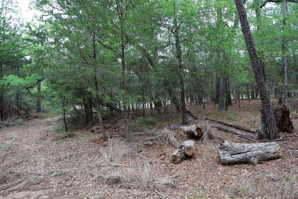Red Fox Road La Grange, TX 78945