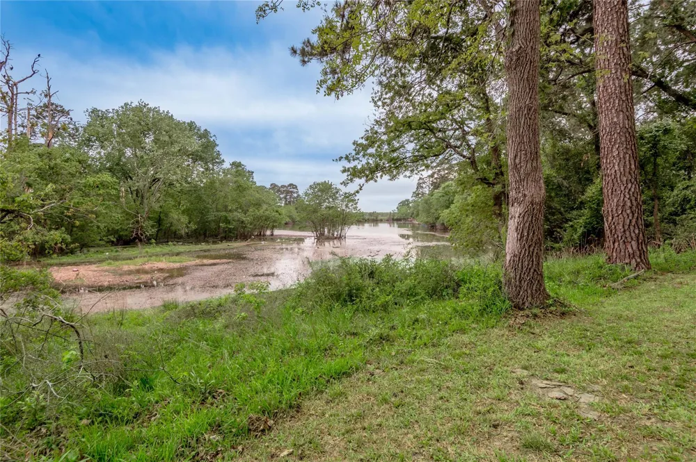 318 Timberline Drive Trinity, TX 75862
