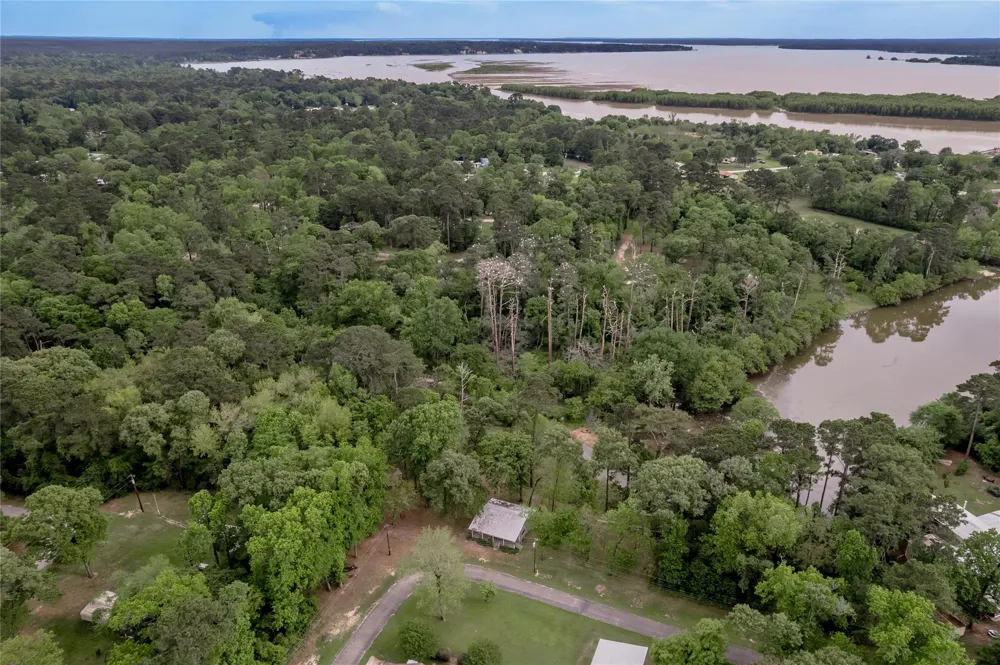 318 Timberline Drive Trinity, TX 75862