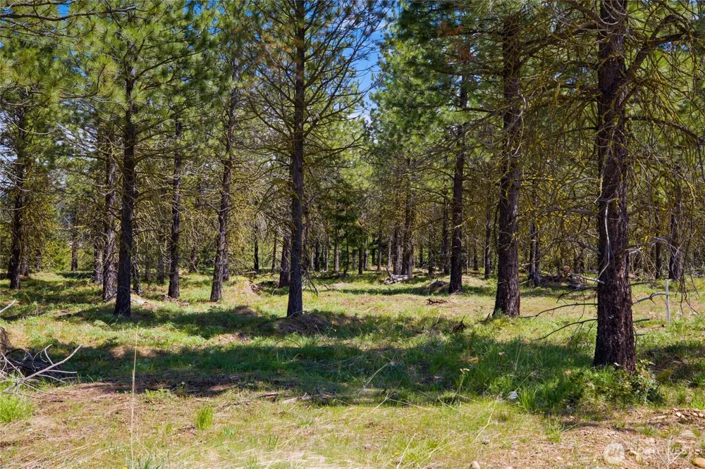 45 Gold Leaf Lane Cle Elum, WA 98922