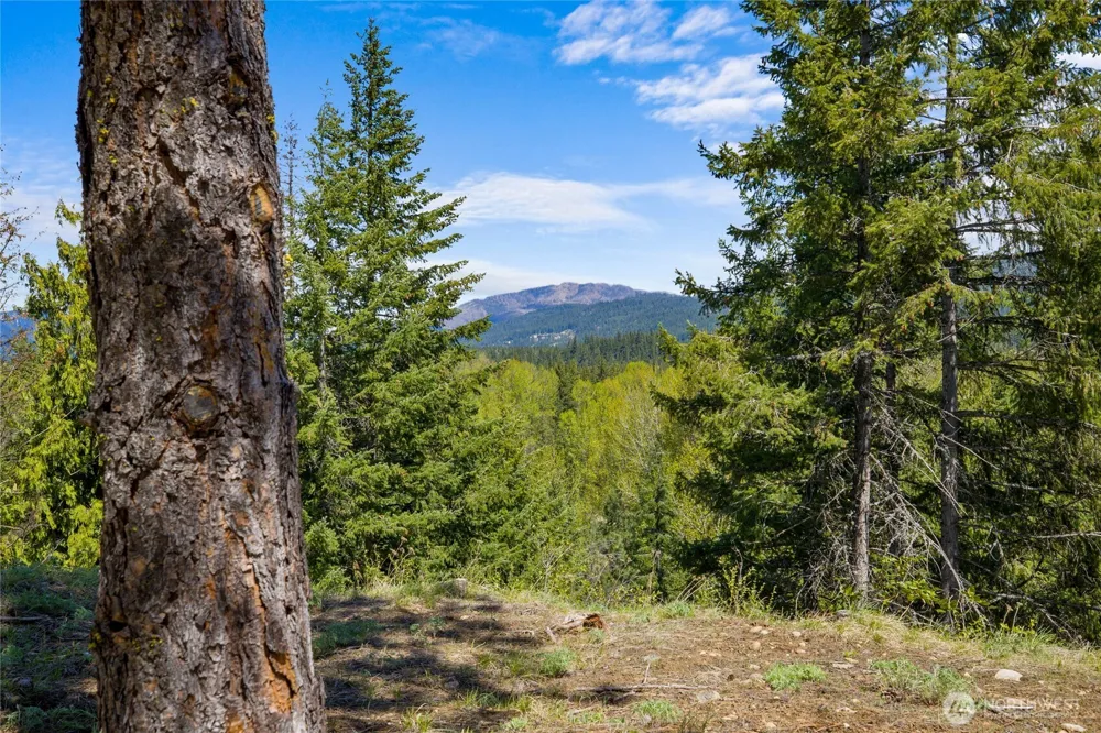 45 Gold Leaf Lane Cle Elum, WA 98922