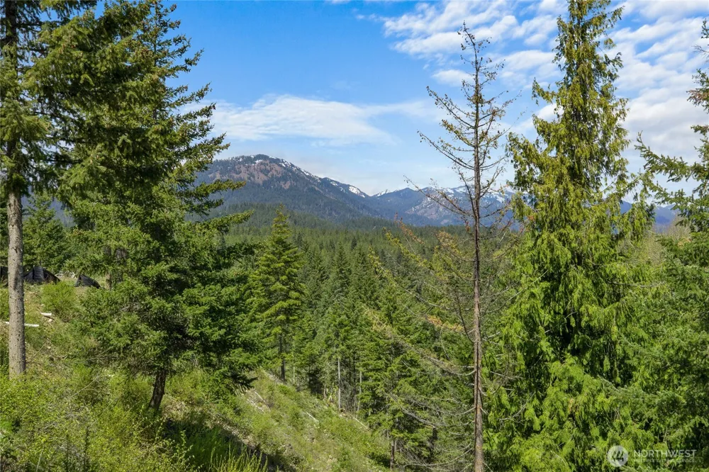 45 Gold Leaf Lane Cle Elum, WA 98922