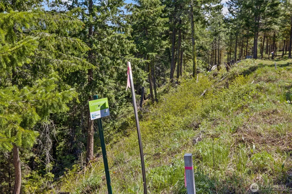 45 Gold Leaf Lane Cle Elum, WA 98922