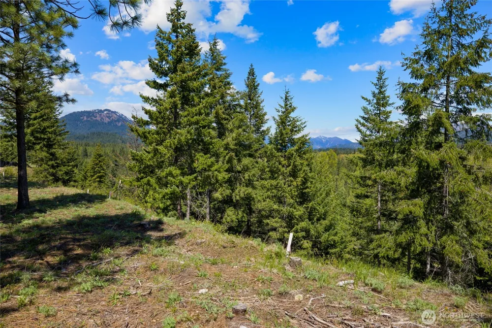 45 Gold Leaf Lane Cle Elum, WA 98922