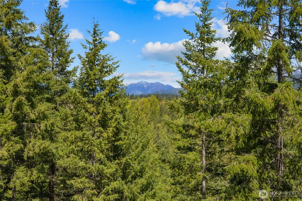 45 Gold Leaf Lane Cle Elum, WA 98922