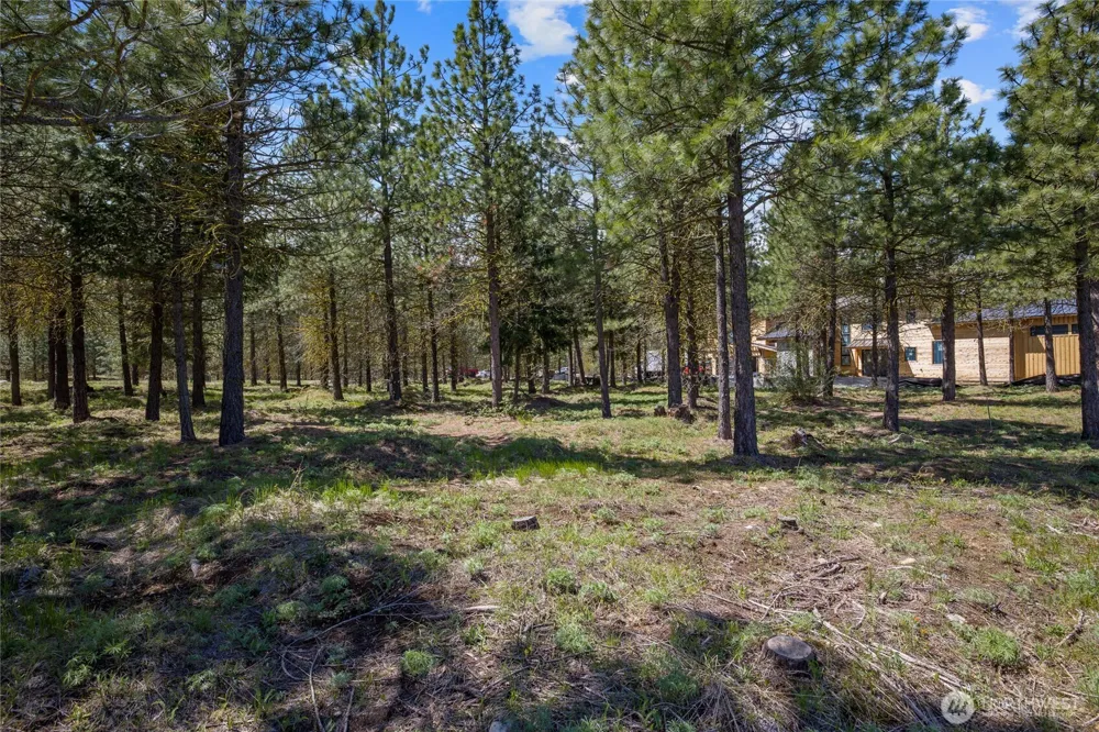 45 Gold Leaf Lane Cle Elum, WA 98922
