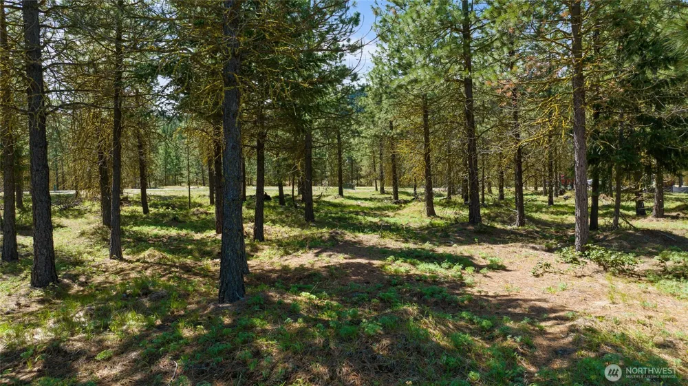 45 Gold Leaf Lane Cle Elum, WA 98922