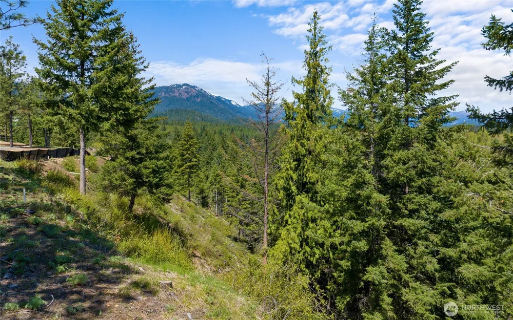 45 Gold Leaf Lane Cle Elum, WA 98922