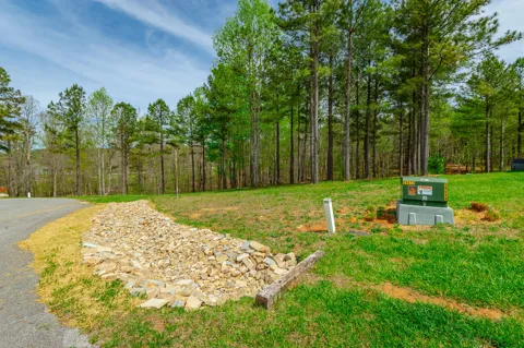 300 Deer Ridge Point