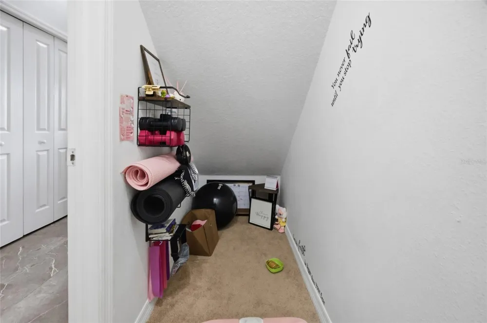 24927 PORTOFINO DRIVE Lutz, FL 33559