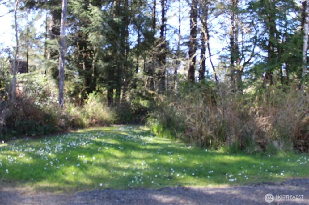 39 Dolphin Ln. Copalis Beach, WA 98535