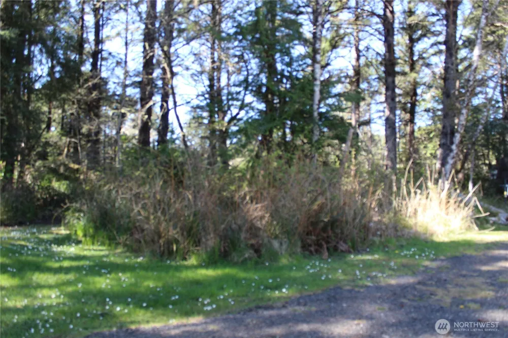 39 Dolphin Ln. Copalis Beach, WA 98535