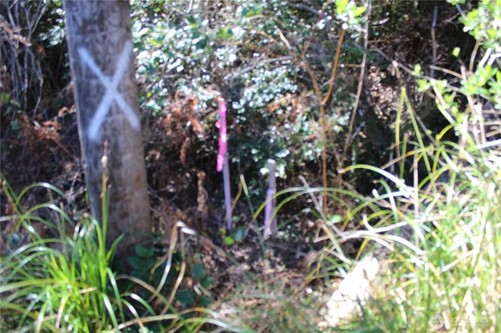 39 Dolphin Ln. Copalis Beach, WA 98535