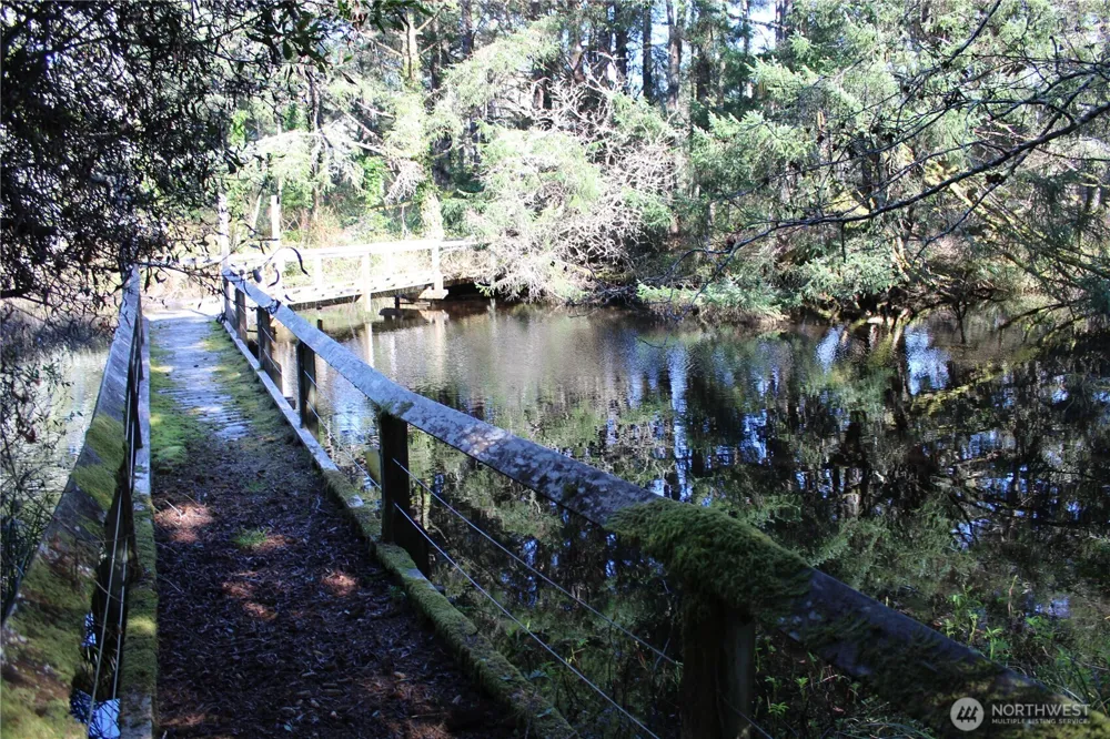 39 Dolphin Ln. Copalis Beach, WA 98535