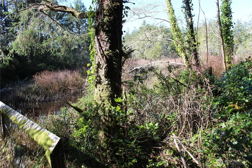 39 Dolphin Ln. Copalis Beach, WA 98535