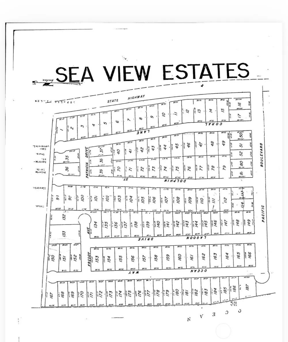 39 Dolphin Ln. Copalis Beach, WA 98535
